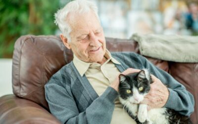 Benefits of Living in a Pet-friendly Aged Care Home